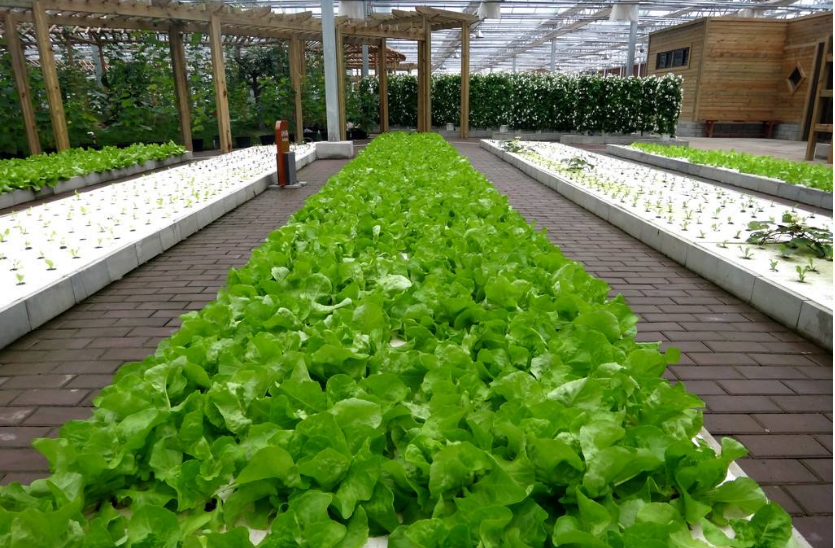 創(chuàng)業(yè)項目